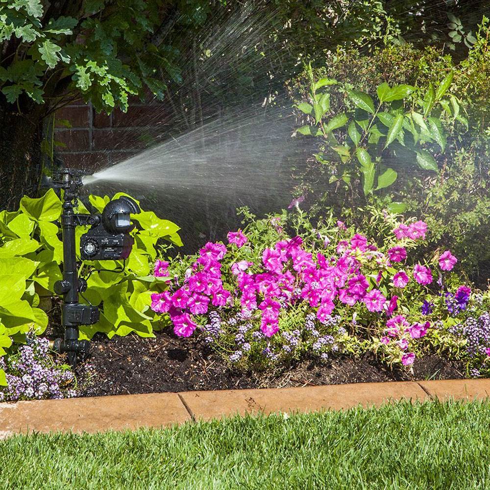 Orbit Yard Enforcer Motion Activated Scarecrow Sprinkler for Pests/Deer