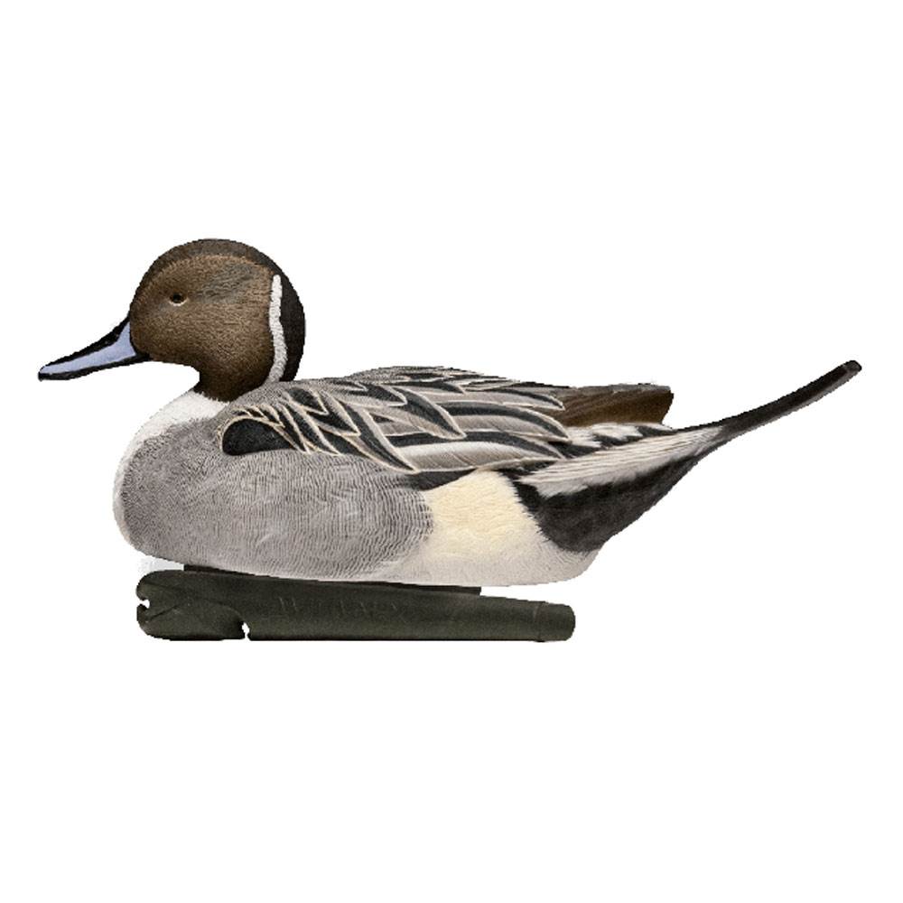 Avian X Top Flight Pintail Duck Waterfowl Hunting Floater Decoys, Brown