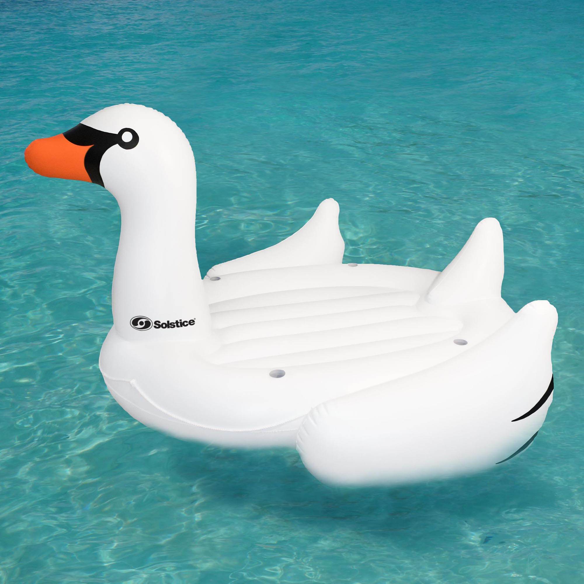 big swan pool float