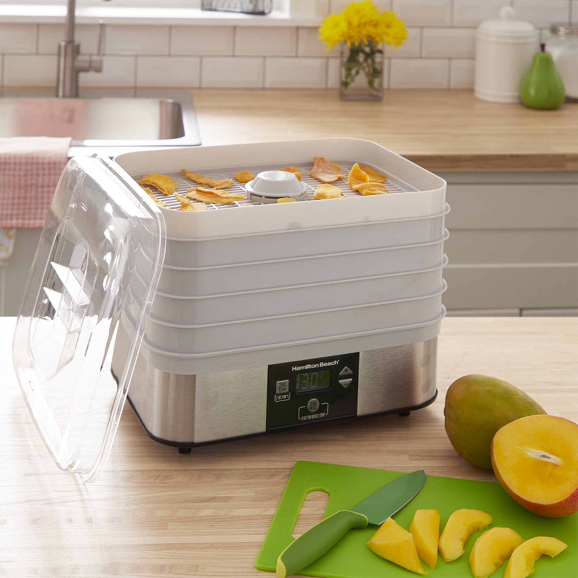 Hamilton Beach 32100A 500 Watt 5 Tray Stacking Countertop Food