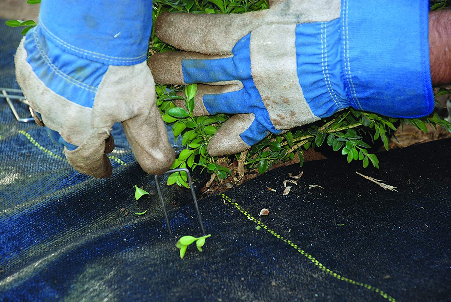 weed barrier fabric weed barrier fabric