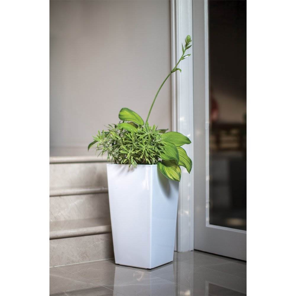 Algreen Modena Square SelfWatering Planter With Water