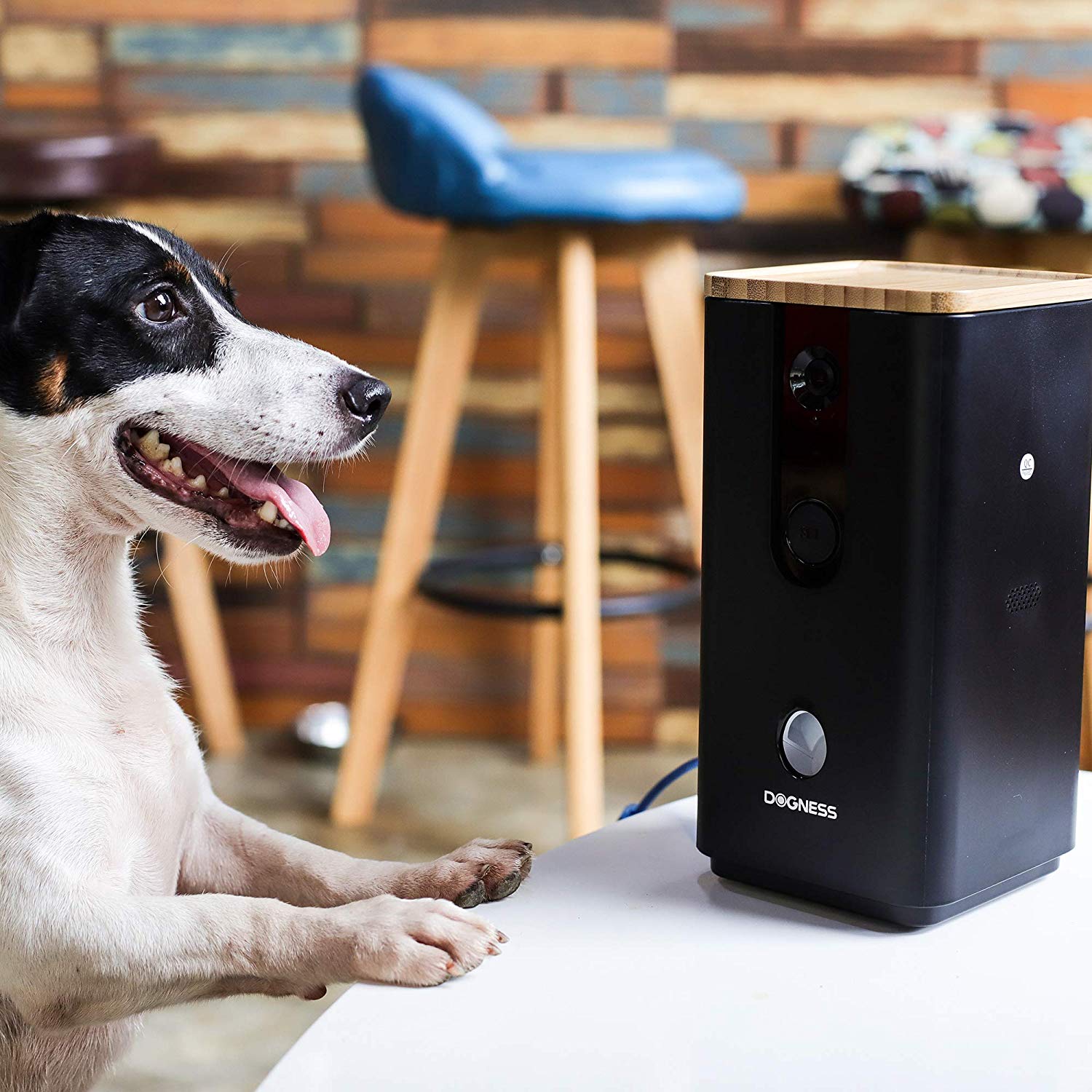 Dogness Smart Cam Treater Automatic Pet Treat Dispenser with HD Camera, Black eBay