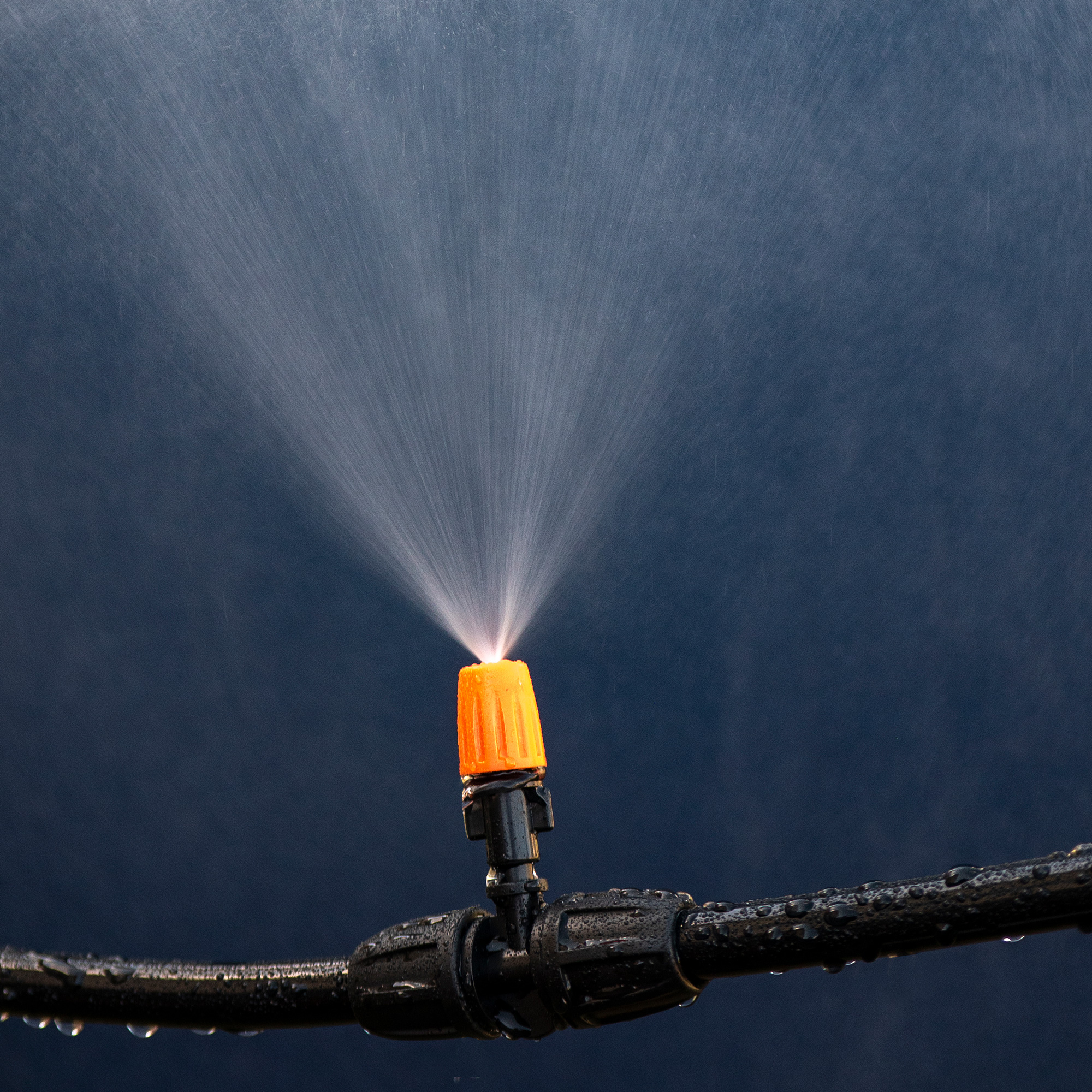 JumpKing ACCUVM82 Universal Trampoline Water Sprinkler Mist Sprayer Mister eBay