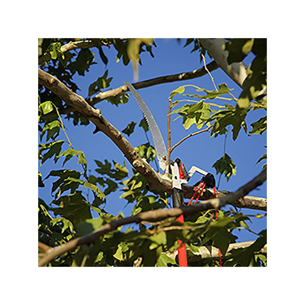 Corona DualLink TP4216 16 Foot Pole Branch Trimmer Tree Saw and Pruner