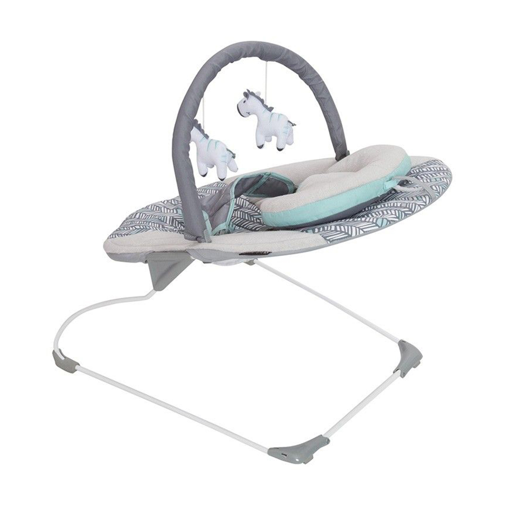 vibrating bouncer for baby