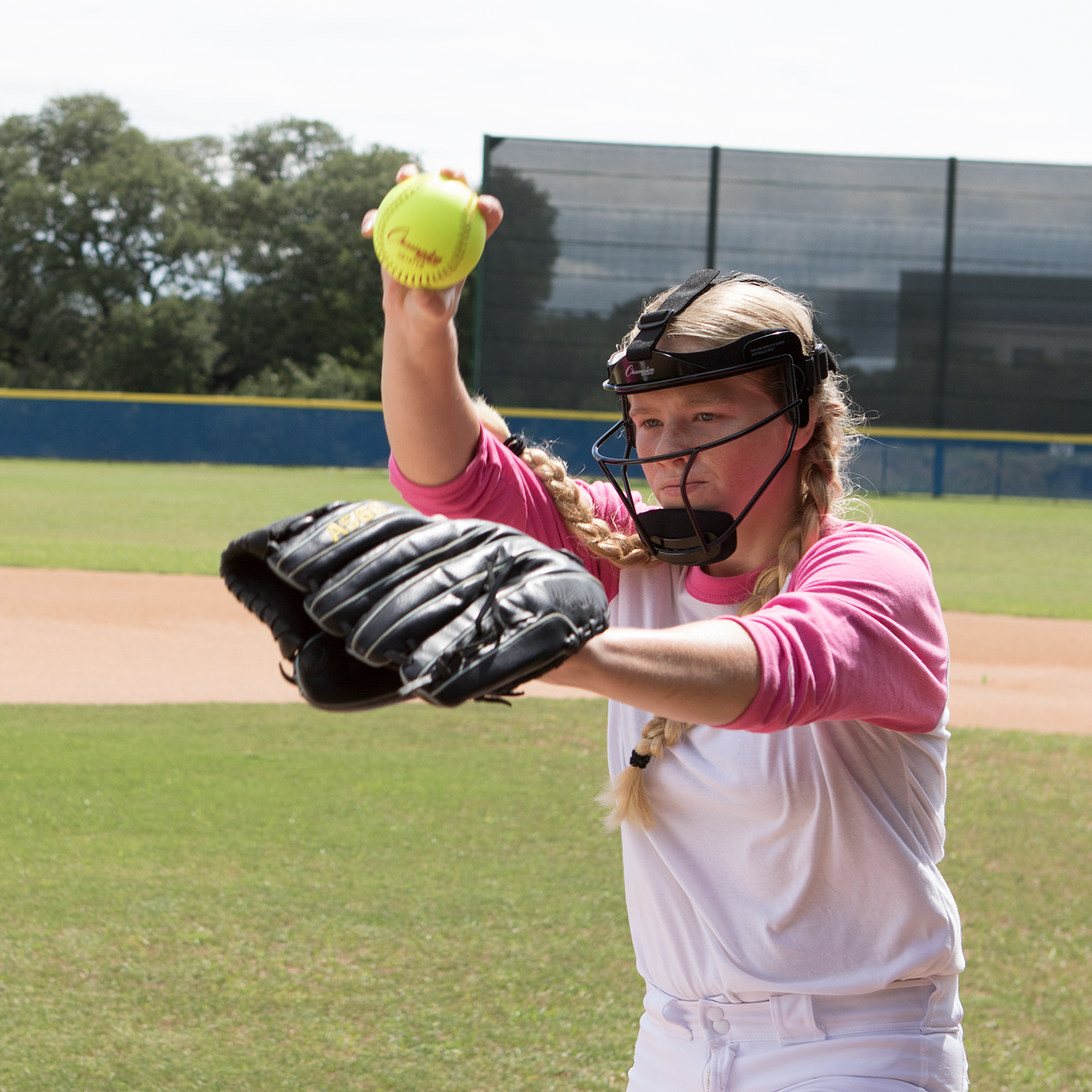 Champion Sports FMASL Adjustable Adult Softball Fielder's Face Mask