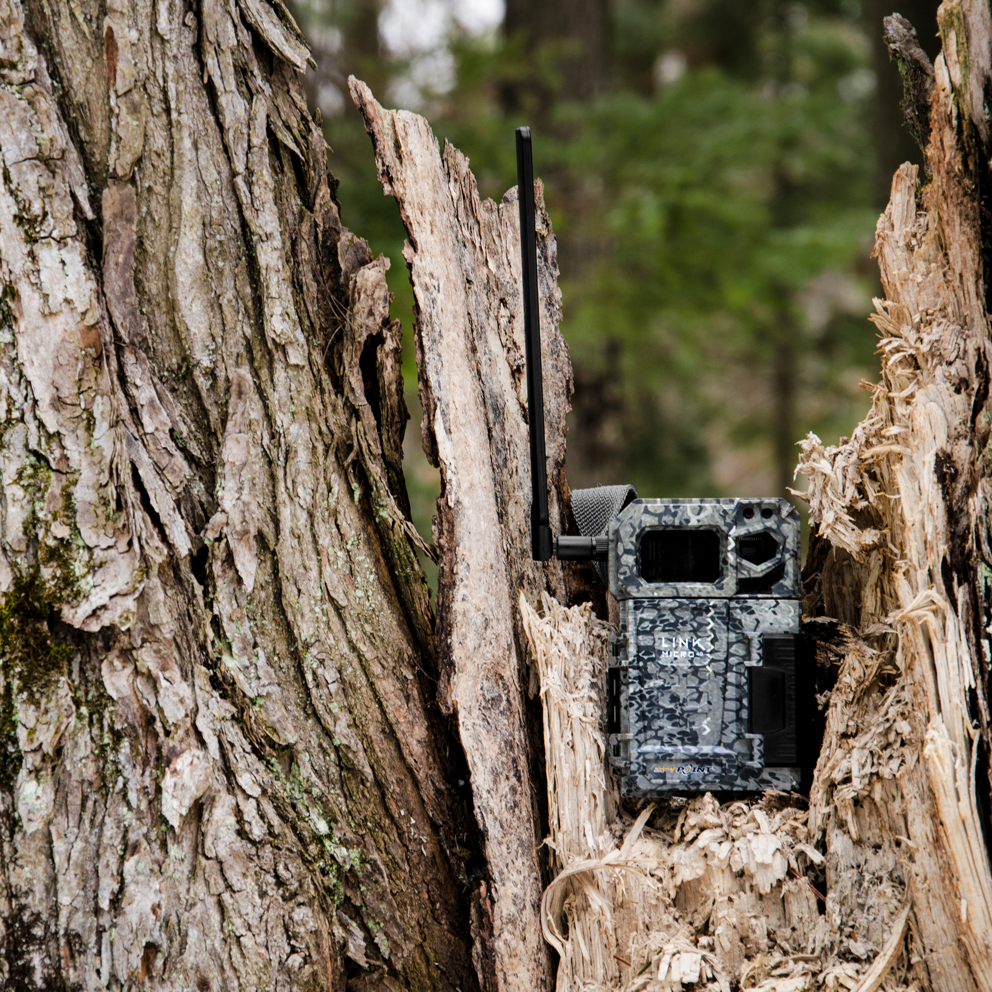 SPYPOINT LINK MICRO Verizon 4G Cellular Trail Game Cameras (2 Pack