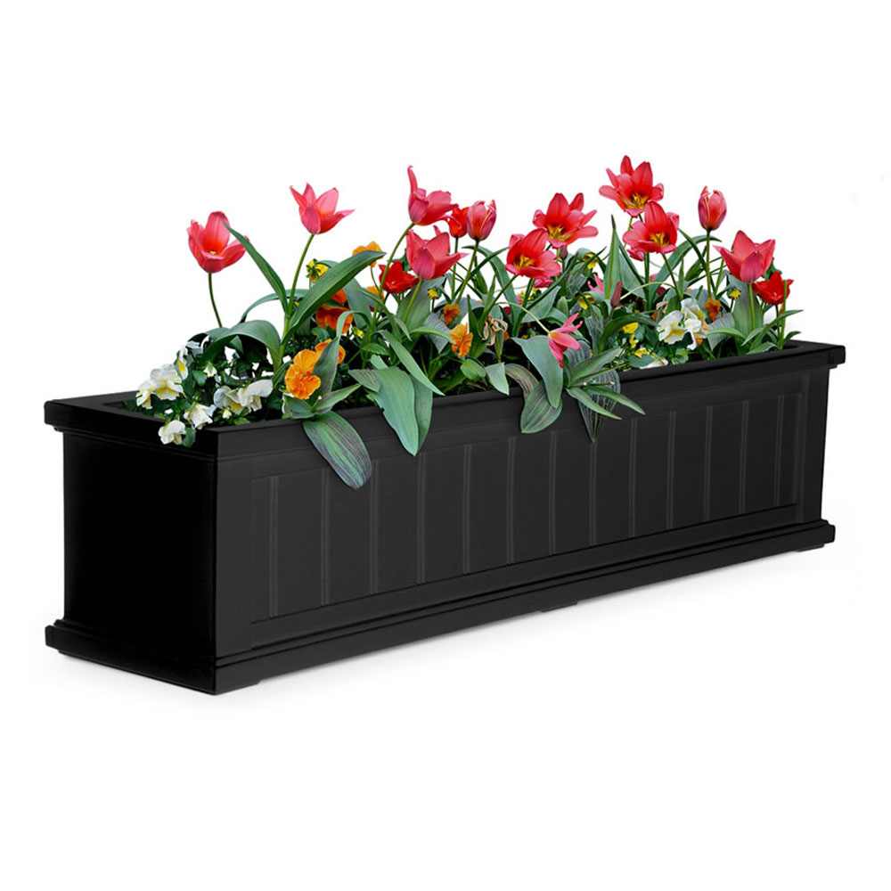 Mayne Cape Cod 4 Foot Rectangle Outdoor Windowsill Flower