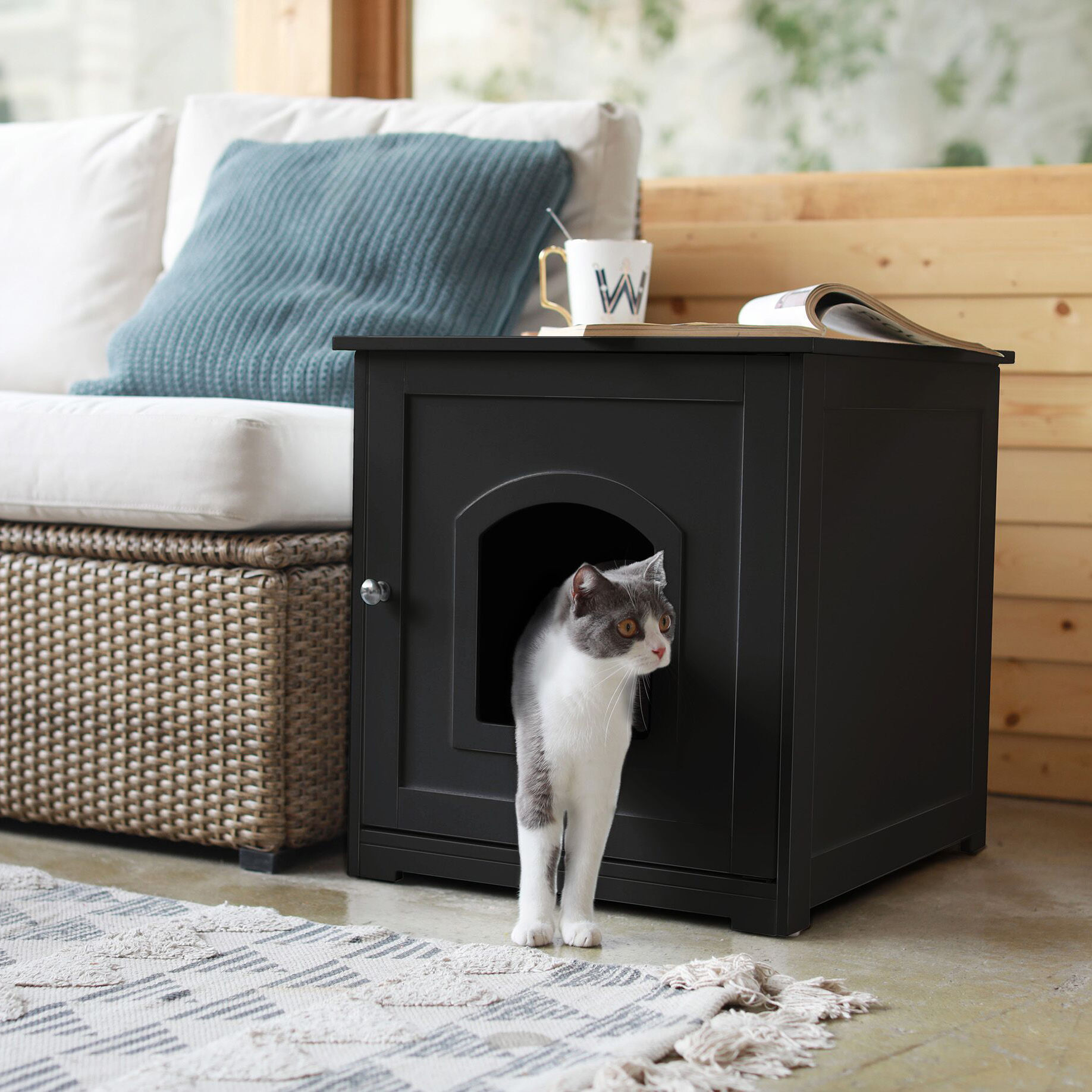 hidden litter box hidden litter box
