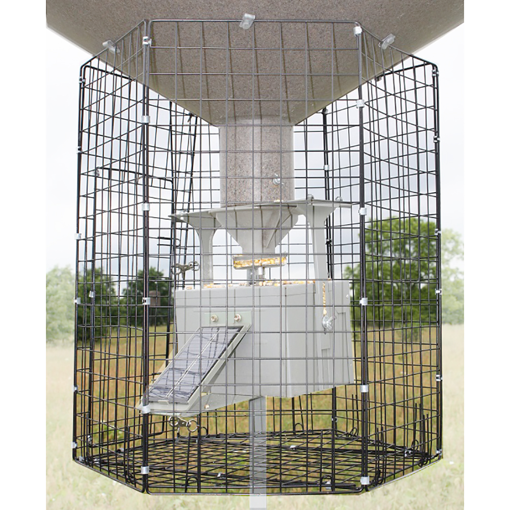 Boss Buck Hunting Large 24 x26 Heavy Duty Steel Varmint Cage Feeder
