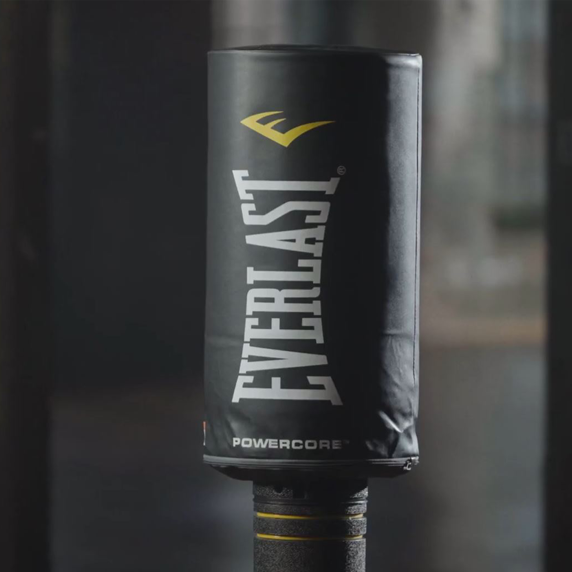 Everlast Powercore Freestanding Indoor Heavy Duty Training Bag