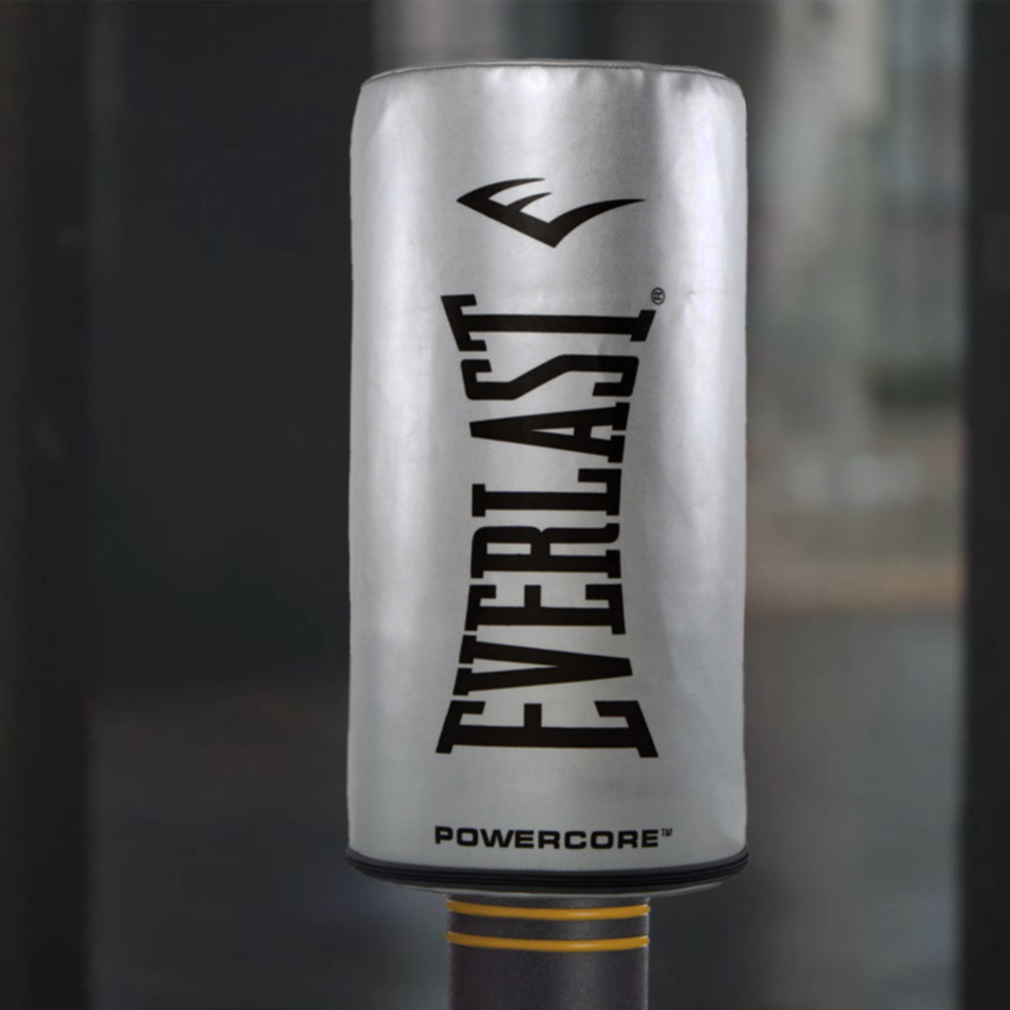 Everlast Powercore Freestanding Indoor Heavy Duty Training Bag