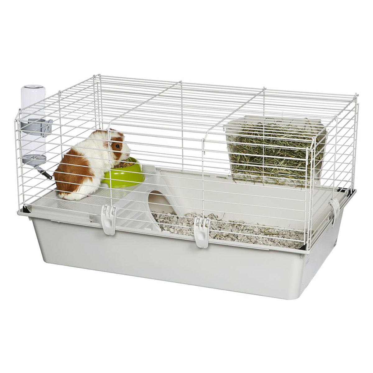 guinea pig hides guinea pig hides