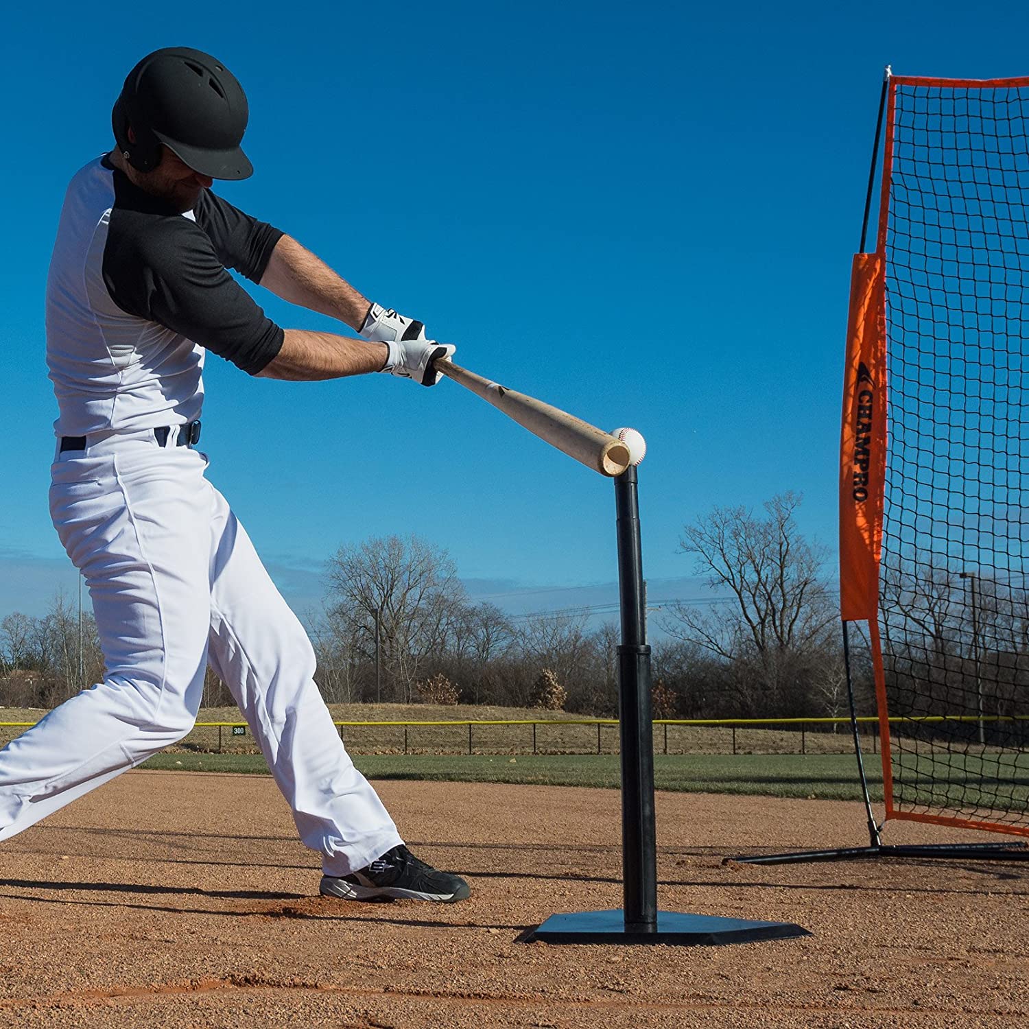 tee ball batting net