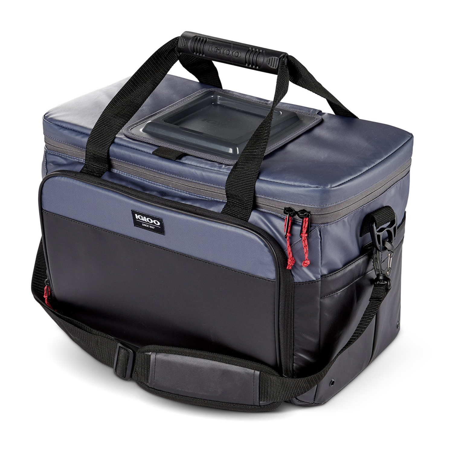 igloo insulated cooler bag