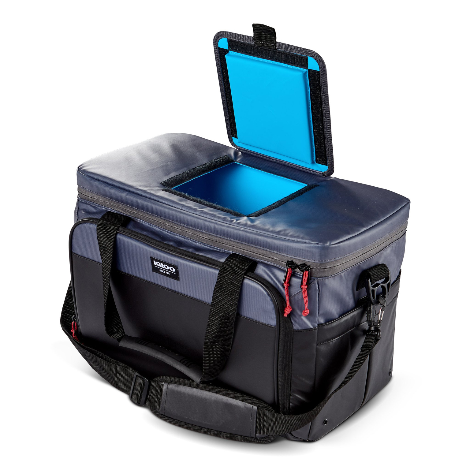 igloo insulated cooler bag