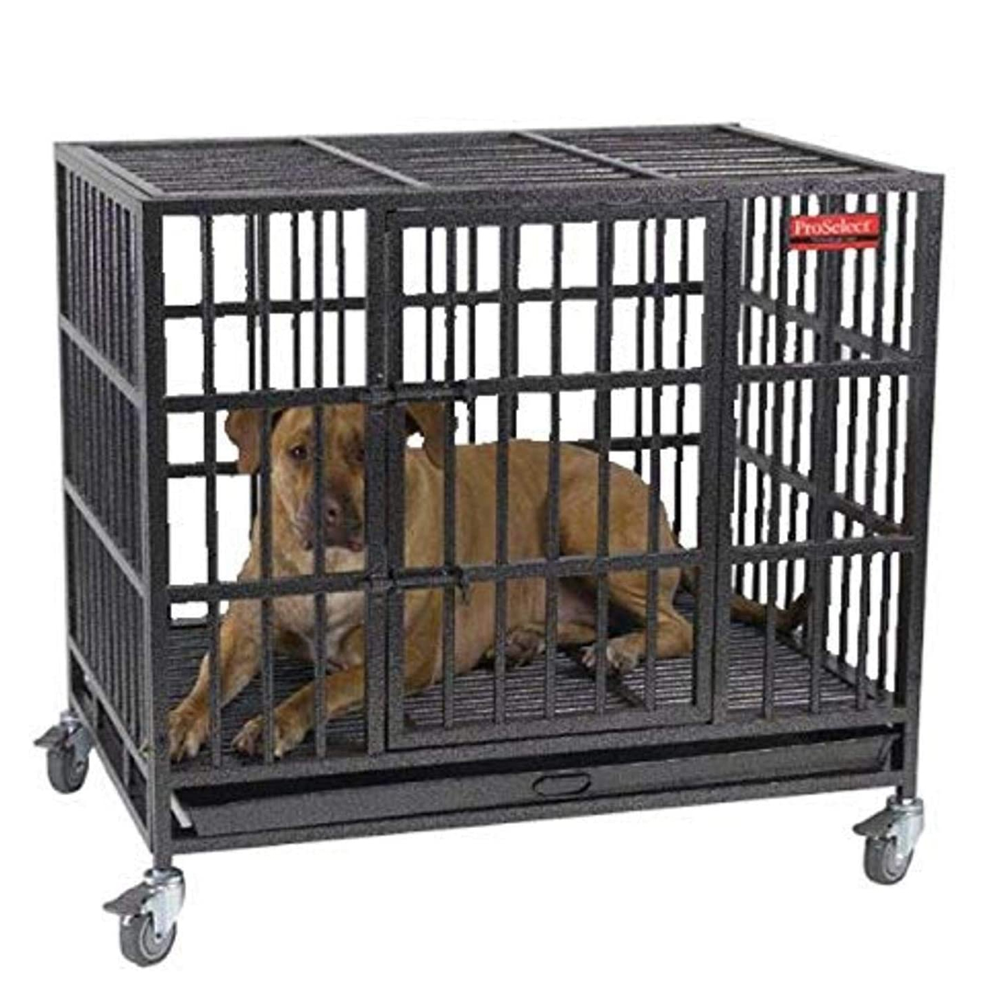 proselect empire dog crate