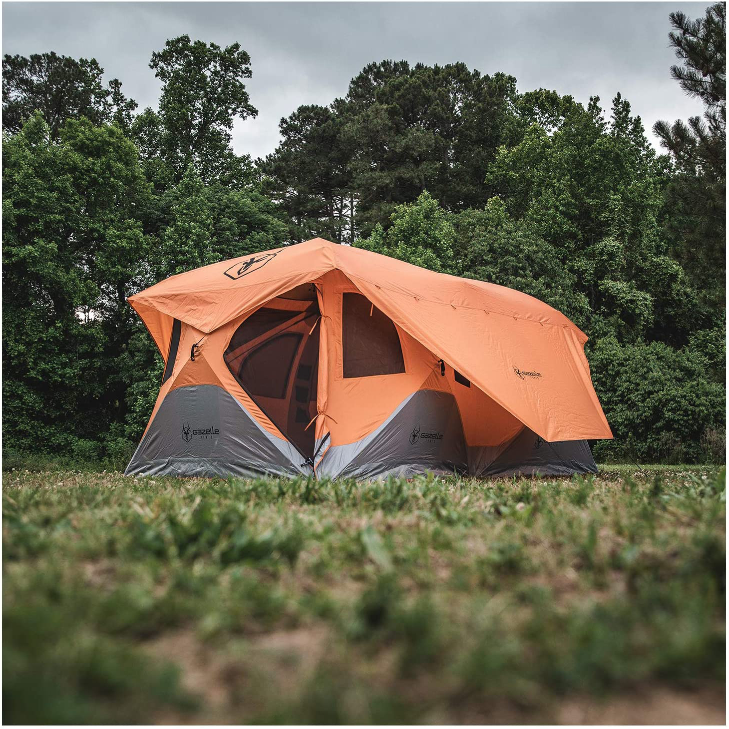 where to buy gazelle tents