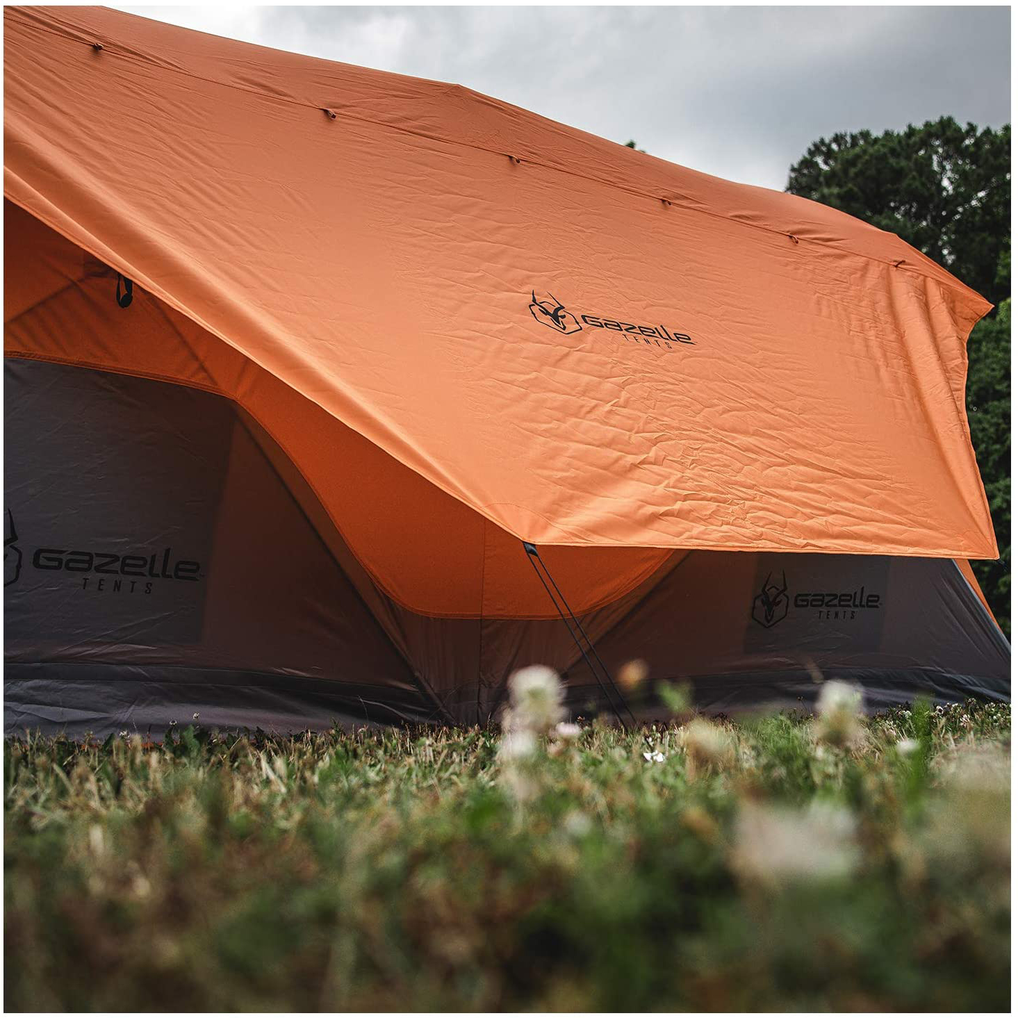 where to buy gazelle tents