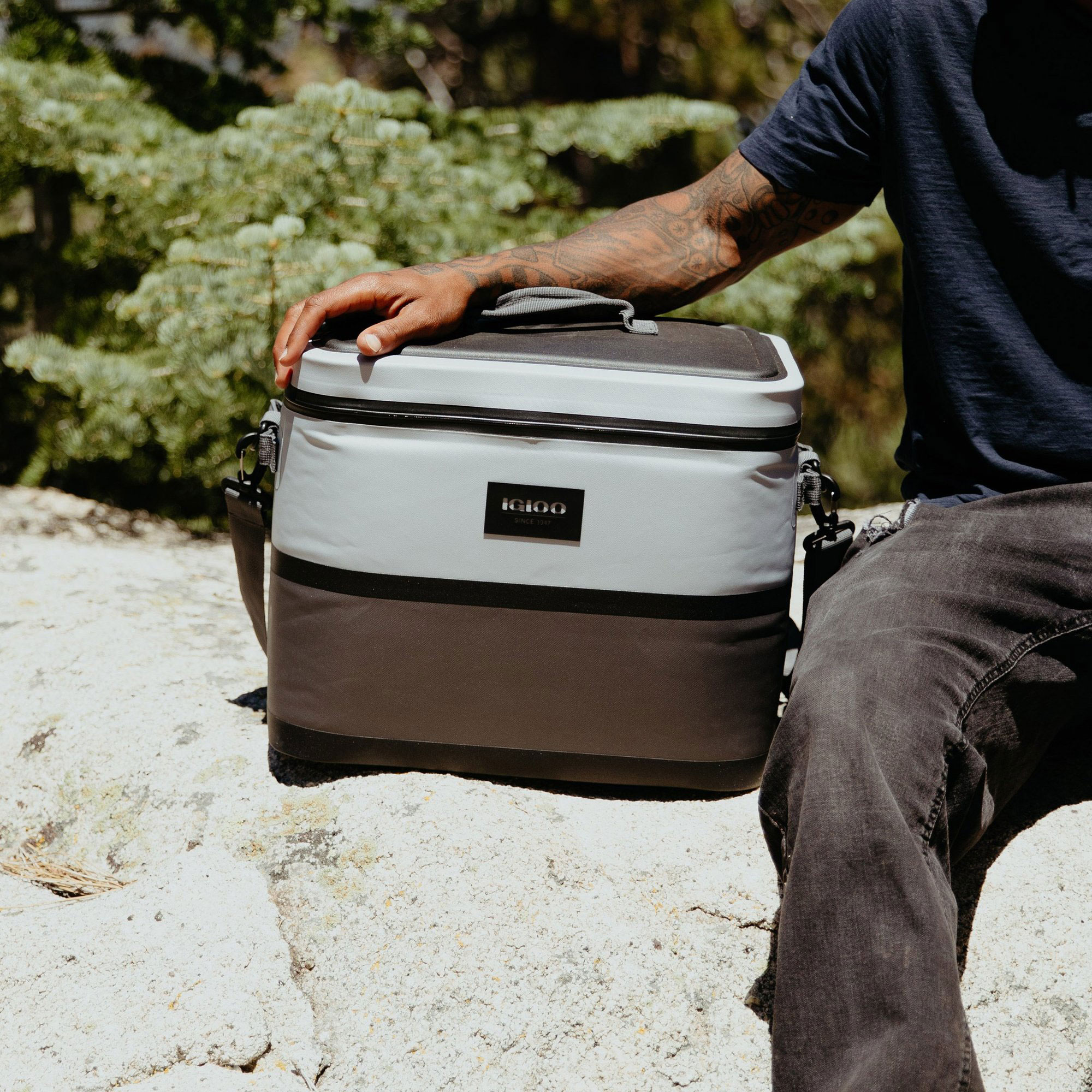 igloo insulated cooler bag