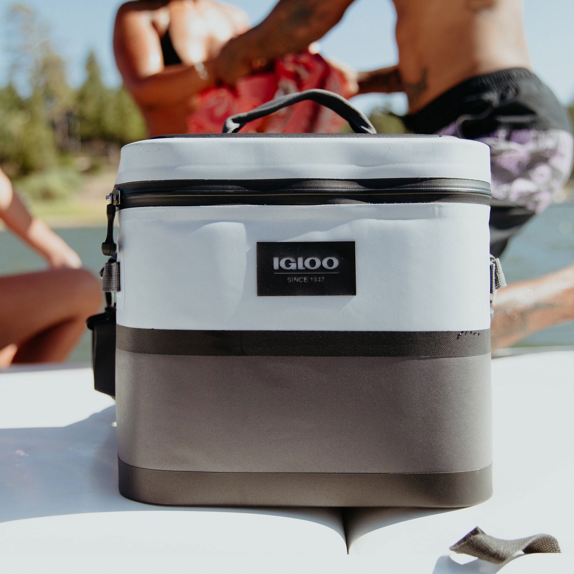 igloo insulated cooler bag