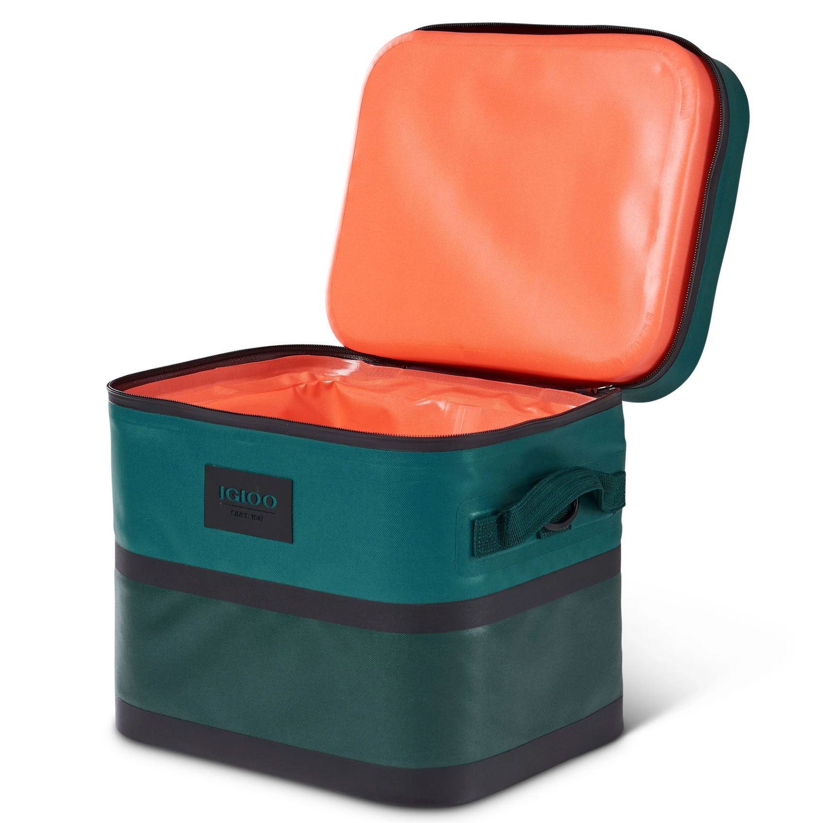 igloo insulated cooler bag