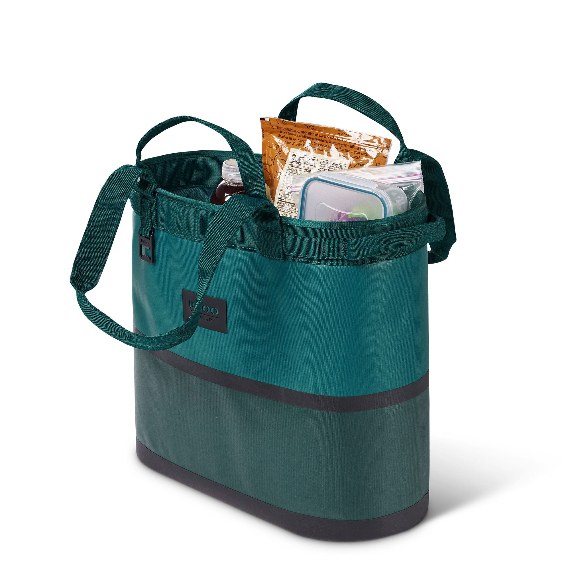 igloo insulated cooler bag