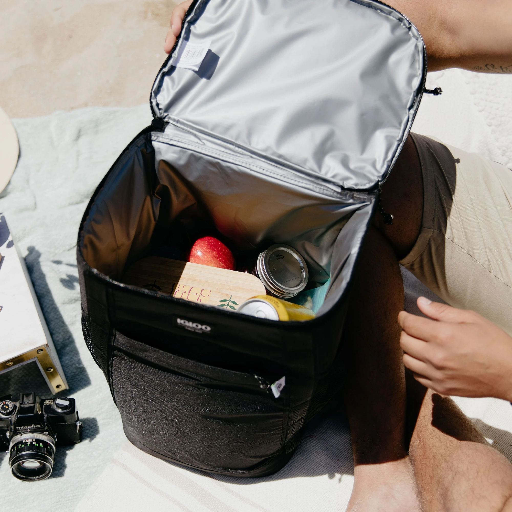 igloo insulated cooler bag