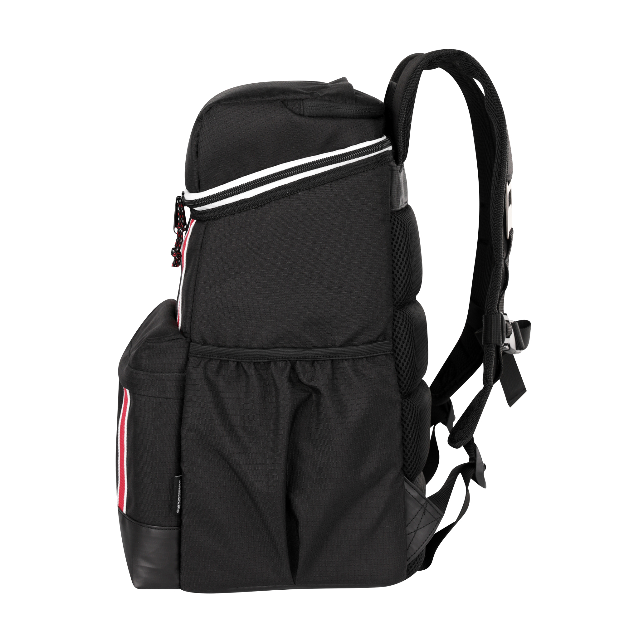 igloo 30 can soft cooler