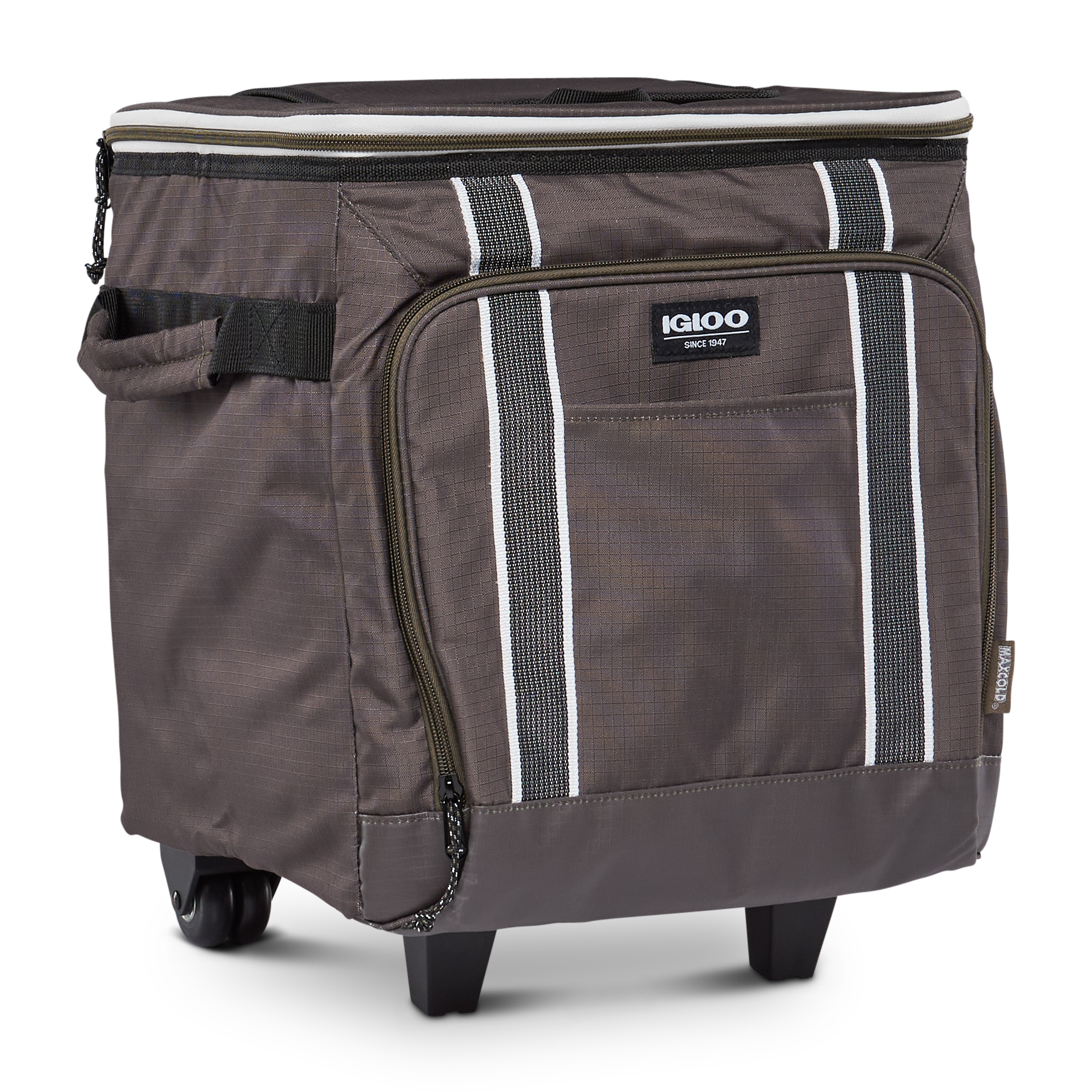 igloo folding cooler