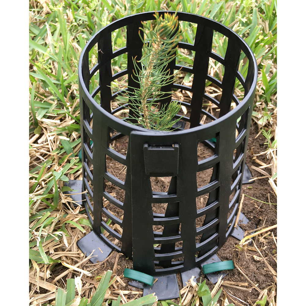 Water Tube Plant Guard Plant Knight Tree Trunk Guard for Garden Protection, 6 Pack (Green