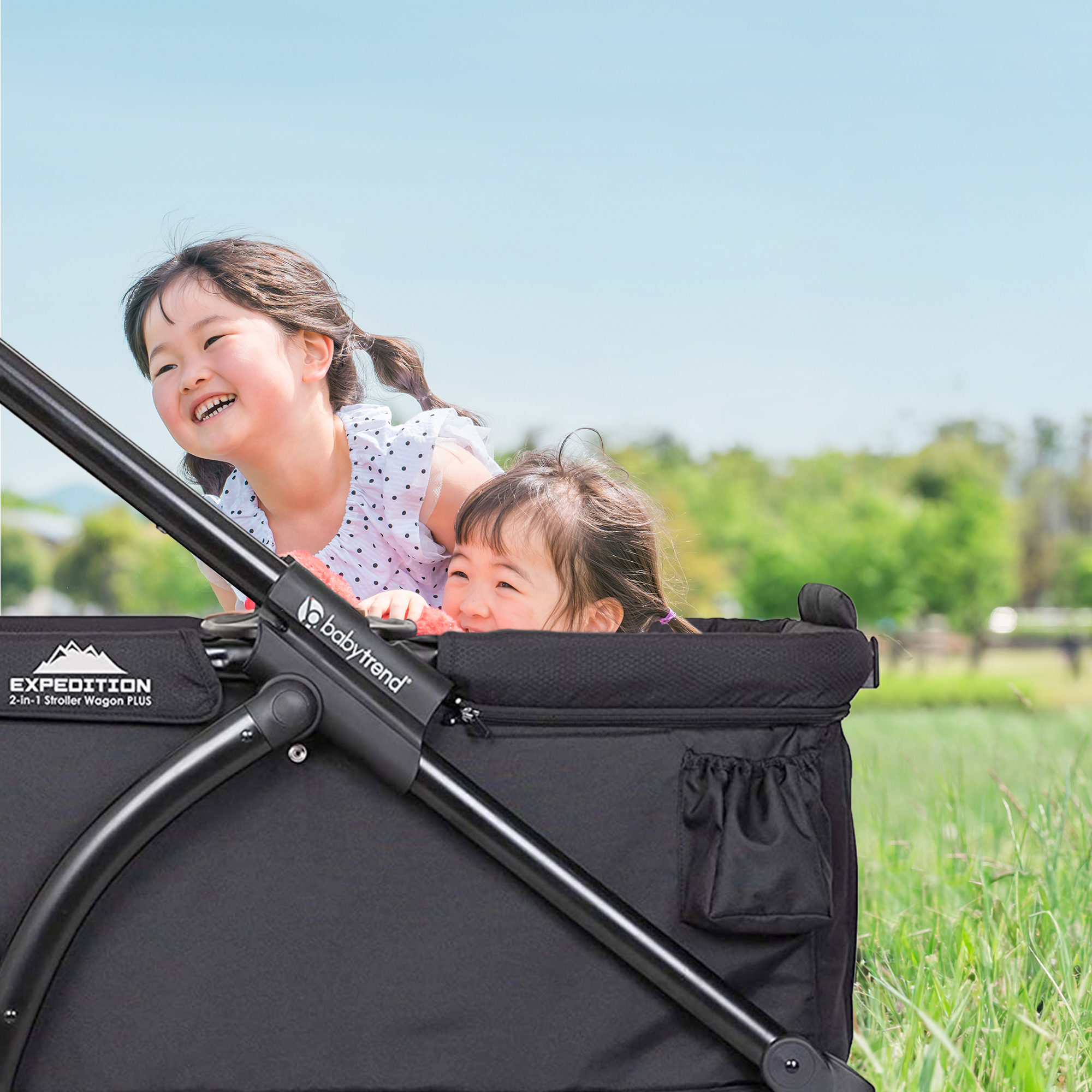Baby Trend Expedition 2 in 1 Push or Pull Stroller Wagon Plus w/ Canopy,  Black | eBay
