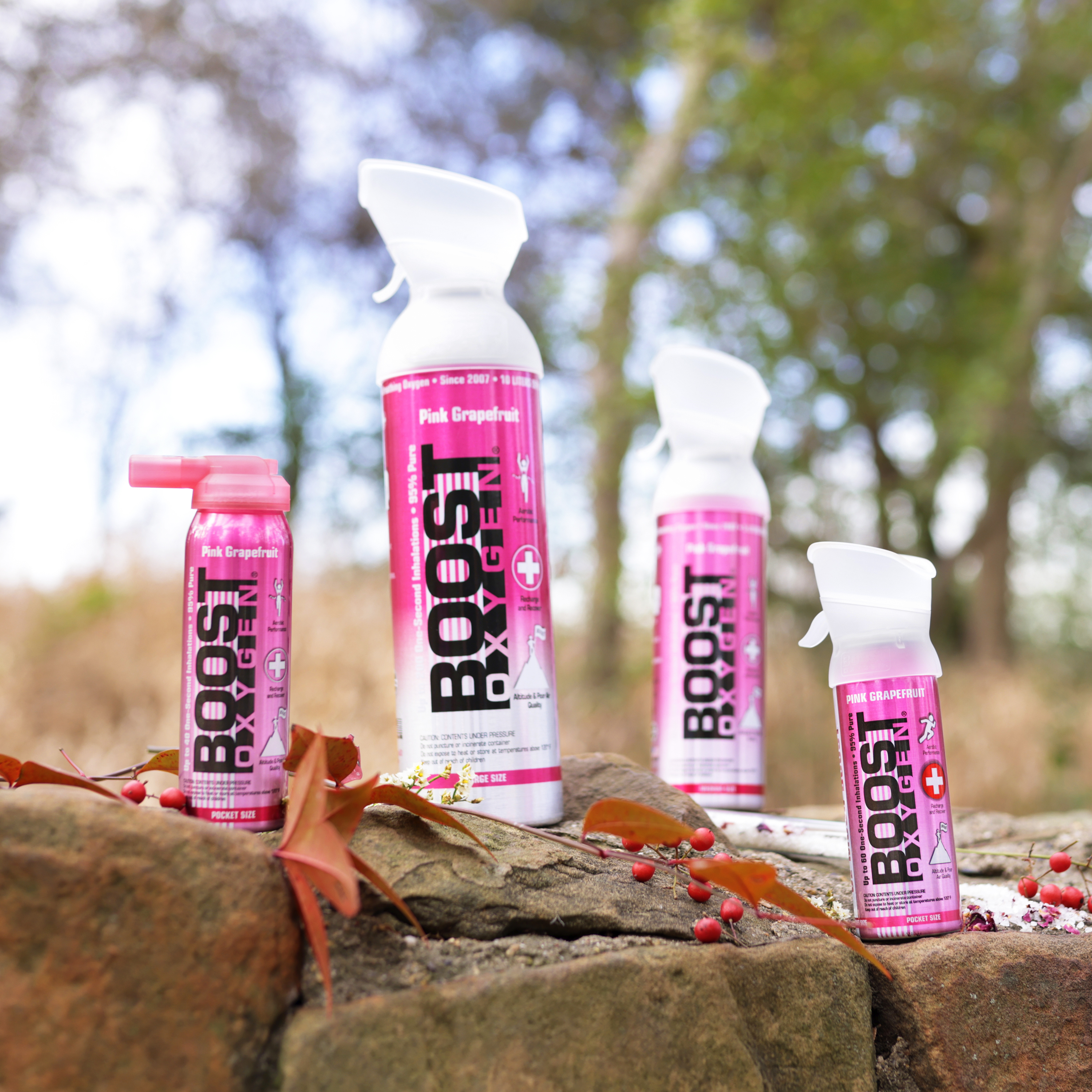 Boost Oxygen 3 Liter Pocket Sized Canned Oxygen Bottles w/Mouthpieces, 4 Flavors