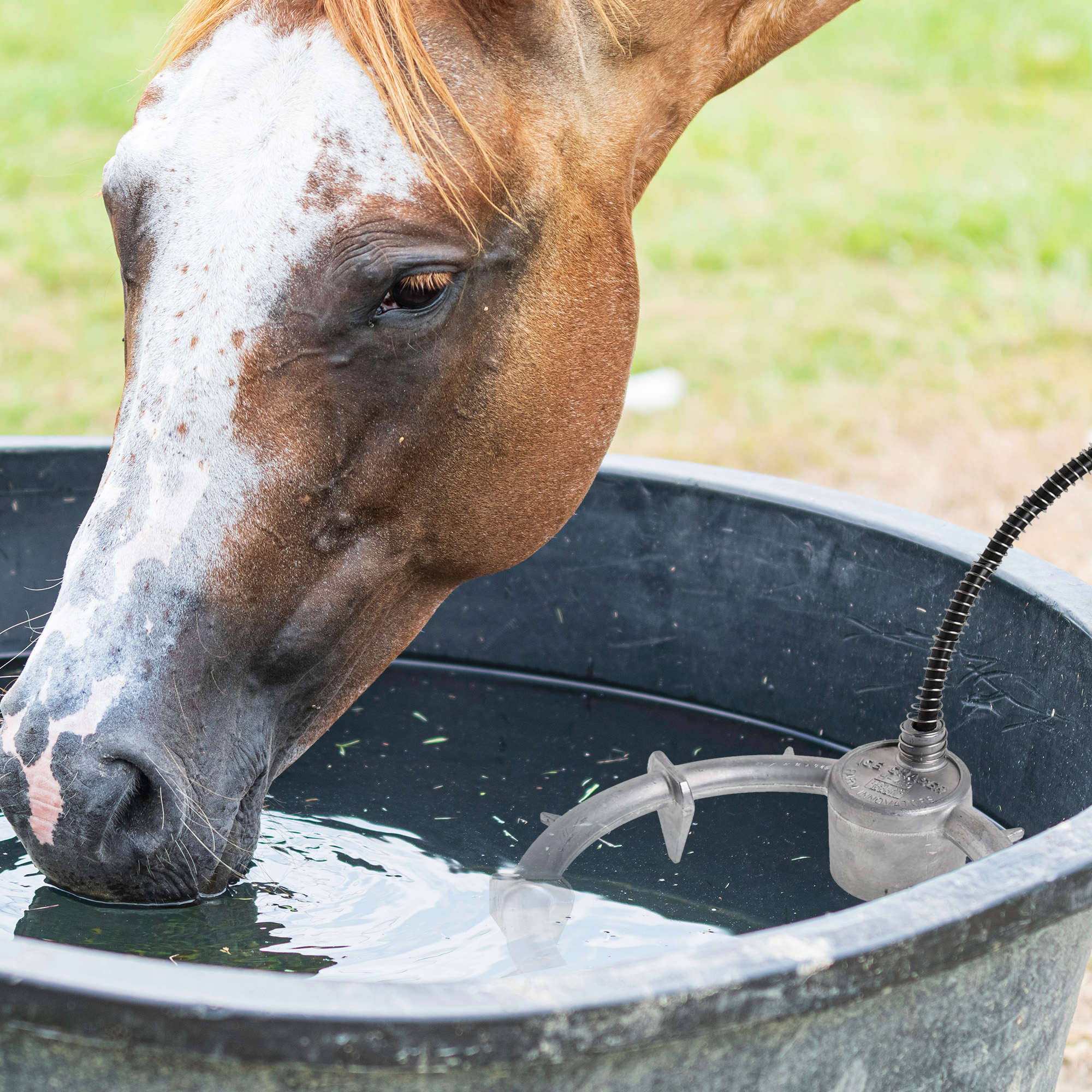 Farm Innovators Ice Chaser Aluminum Submergible Tank De-Icer w/Protector, 2 Pack - Picture 7 of 11