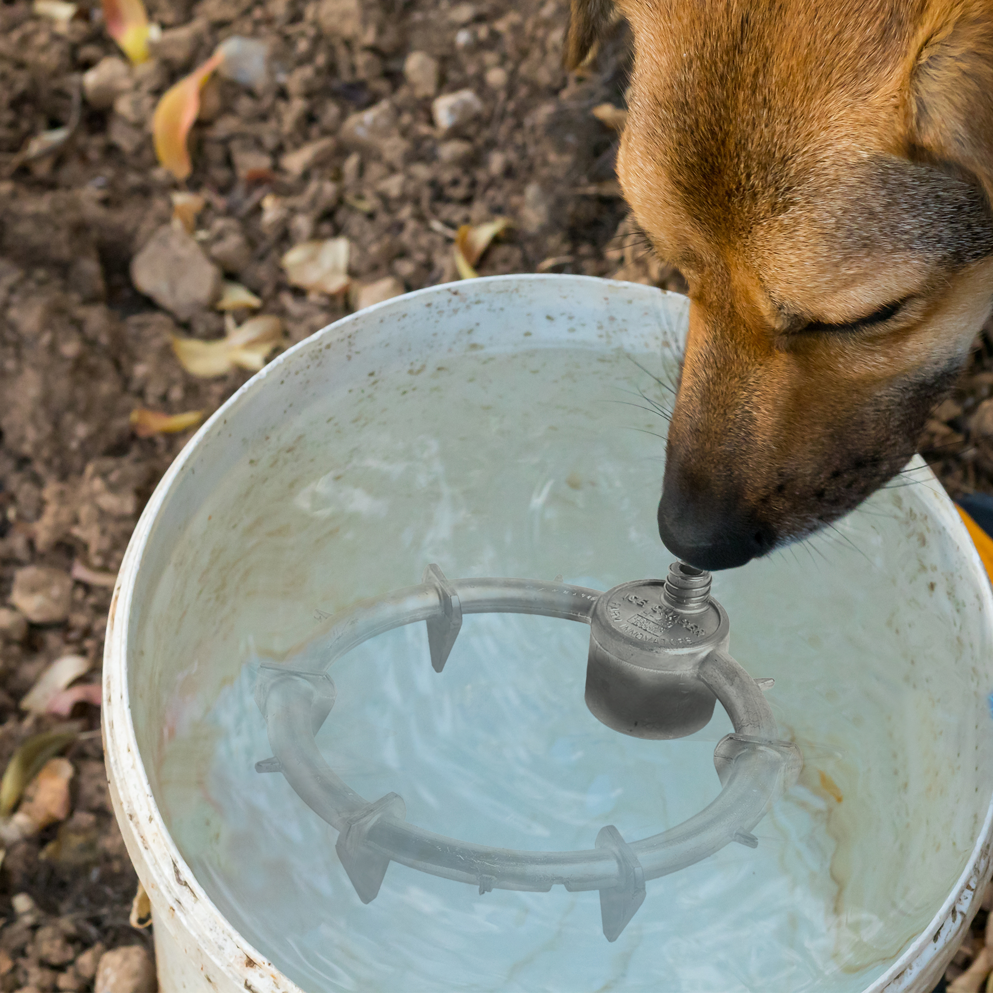 Farm Innovators Ice Chaser Aluminum Submergible Tank De-Icer w/Protector, 2 Pack - Picture 8 of 11