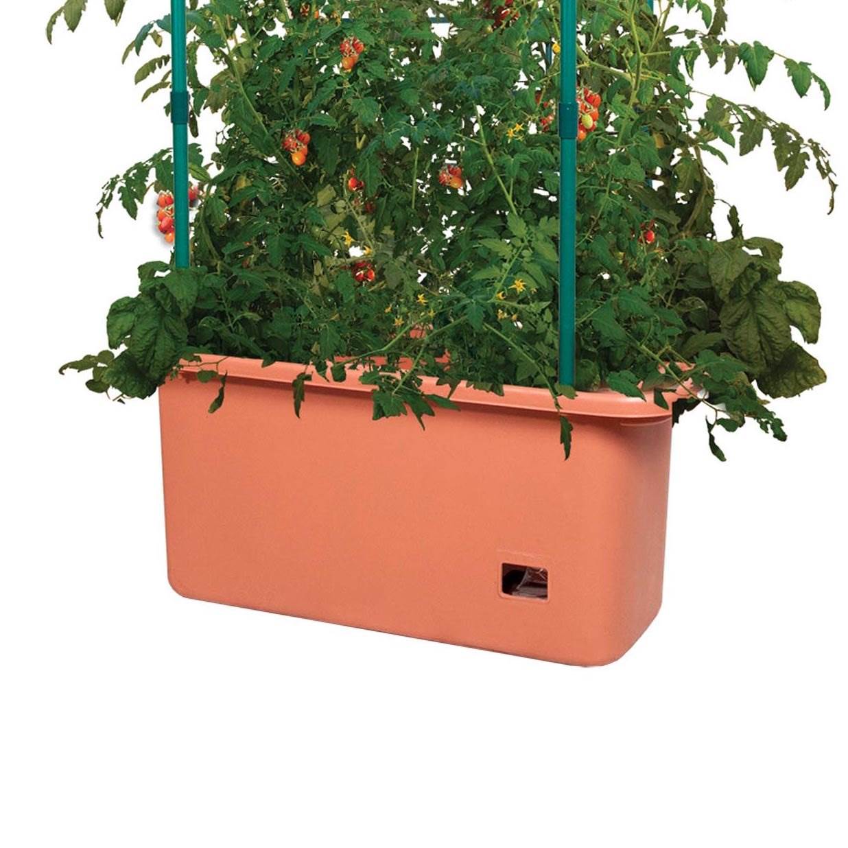 Hydrofarm GCTR 10 Gal Tomato Garden Planting System & 4' Trellis Tower ...