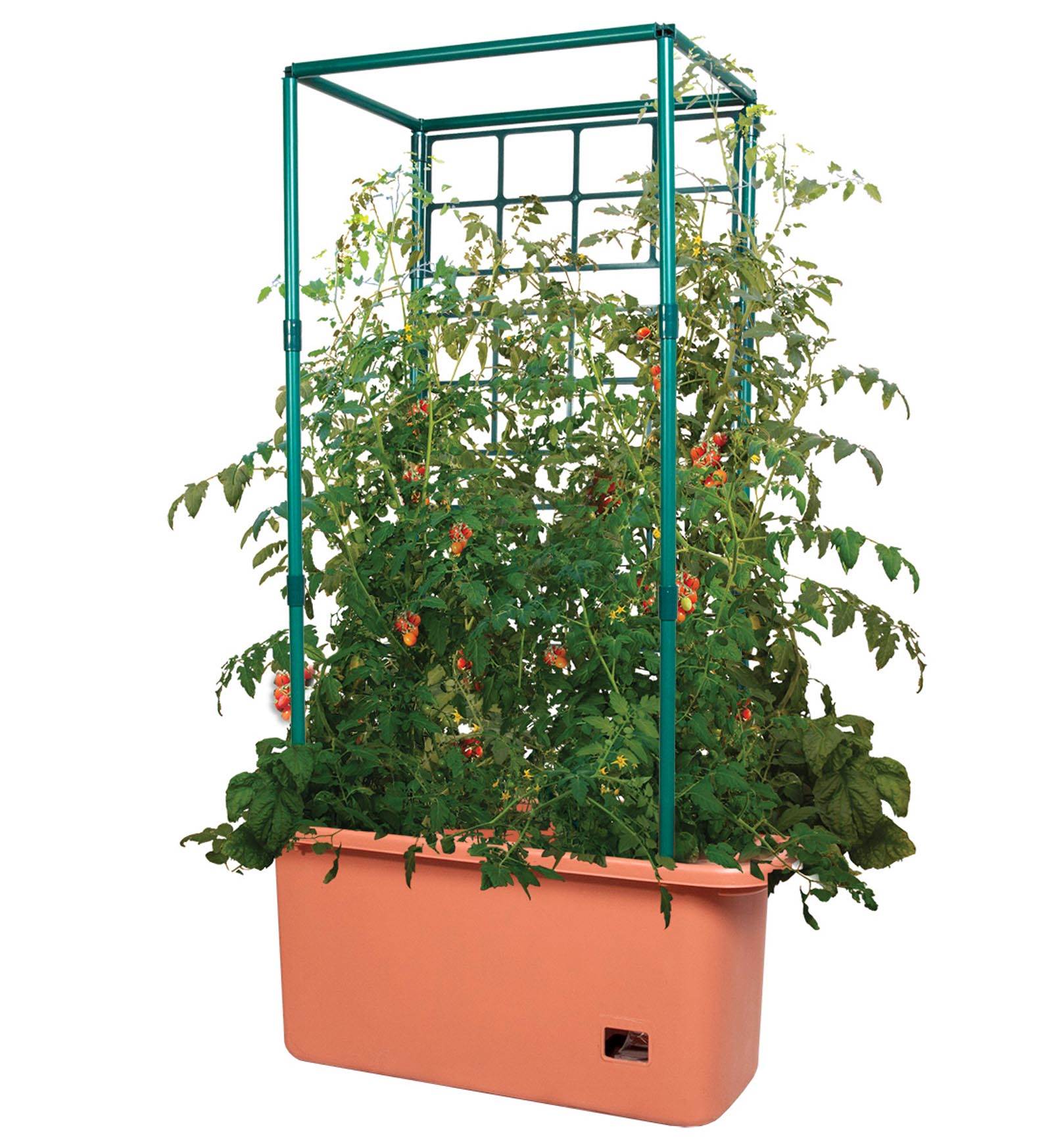 Hydrofarm Gctr 10 Gal Tomato Trellis Self Watering Garden Grow System