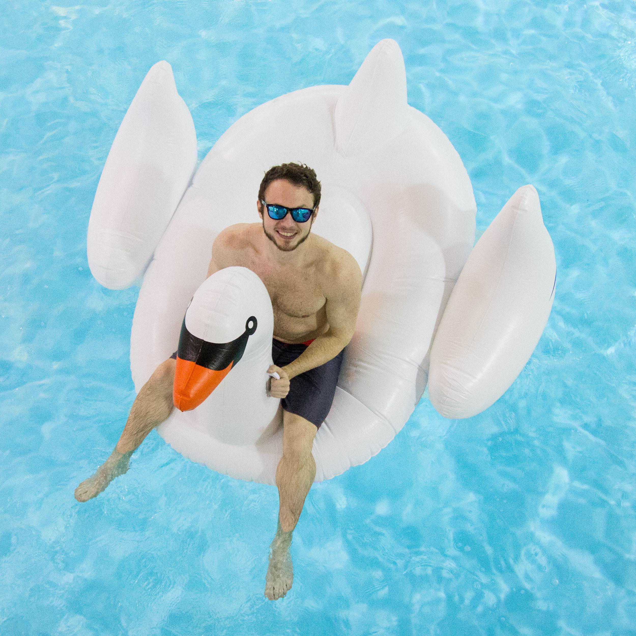 inflatable swan pool float