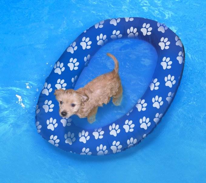 swimways dog float