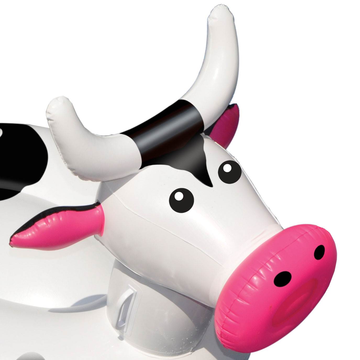 inflatable cow pool float