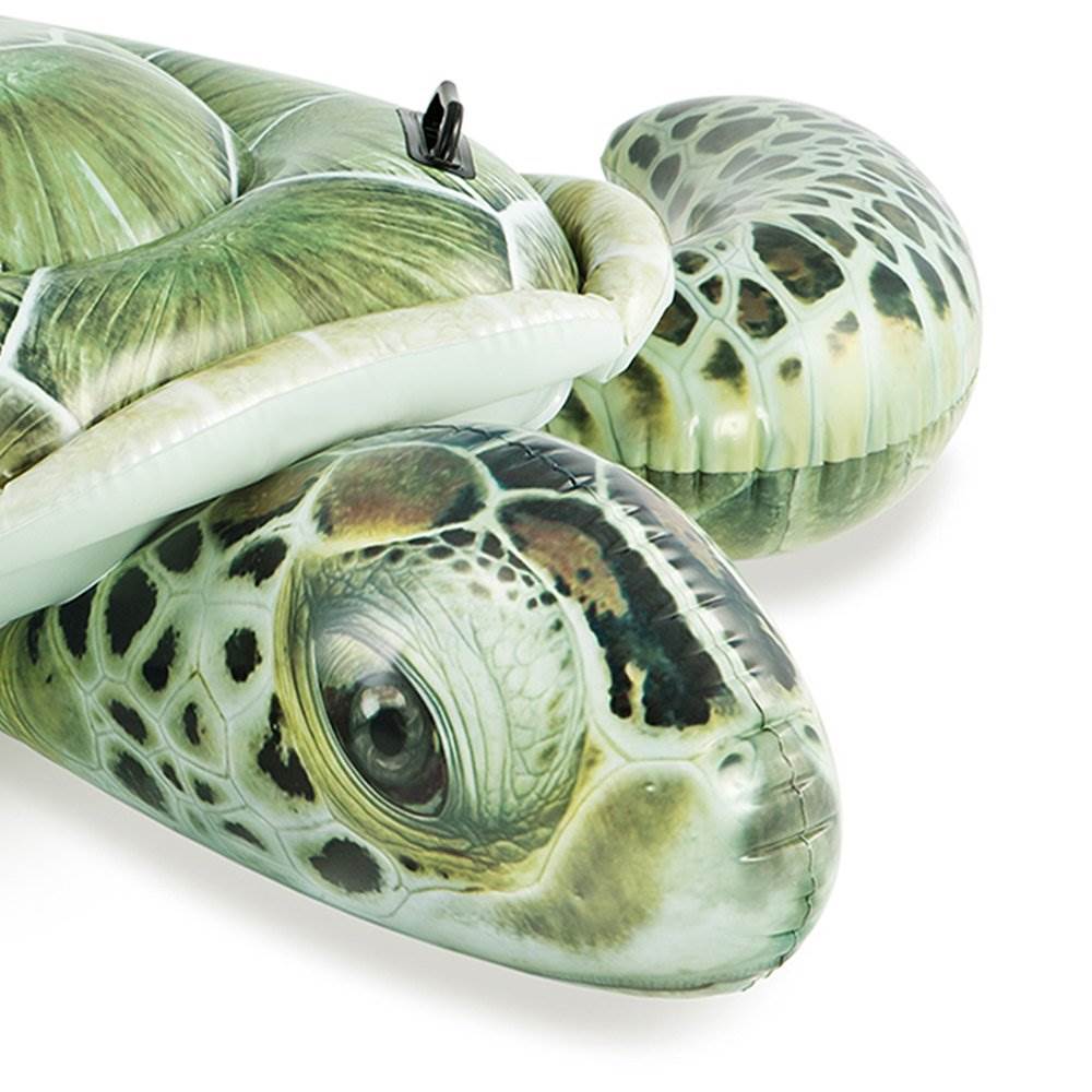 blow up turtle pool toy