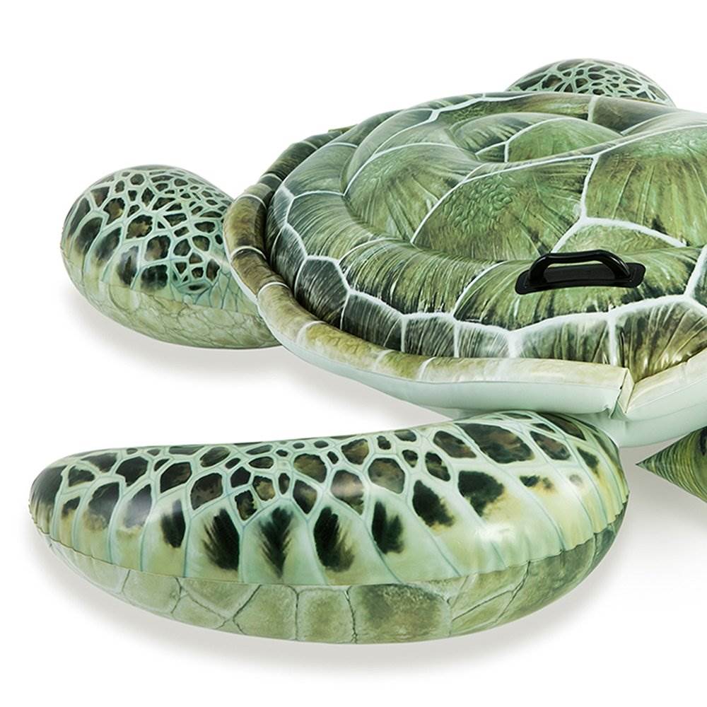 inflatable turtle pool toy