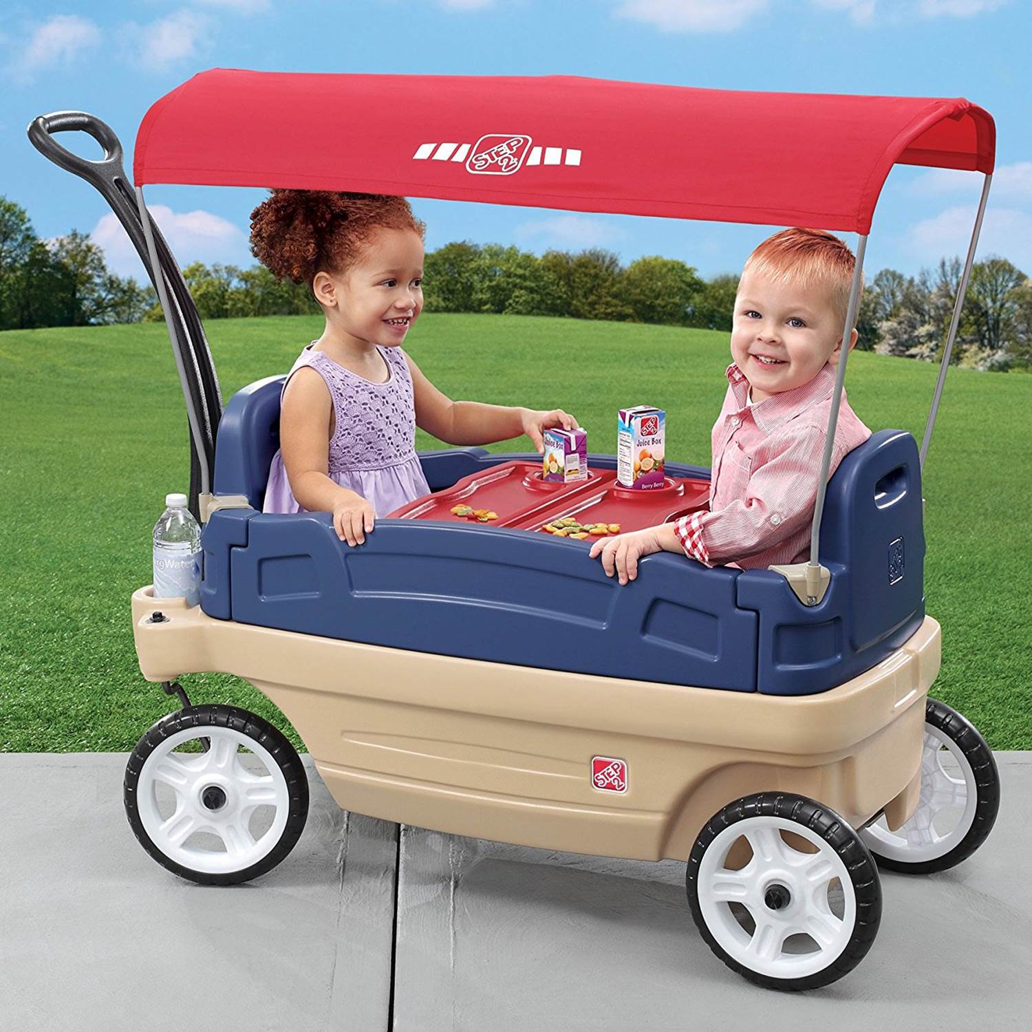 3 seat wagon with canopy