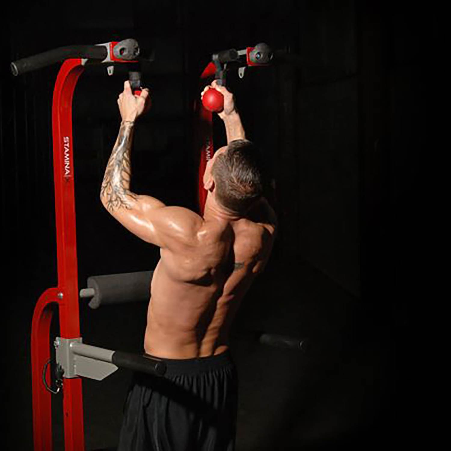 Stamina X Fortress Power Tower Home Gym Pull Up Fitness