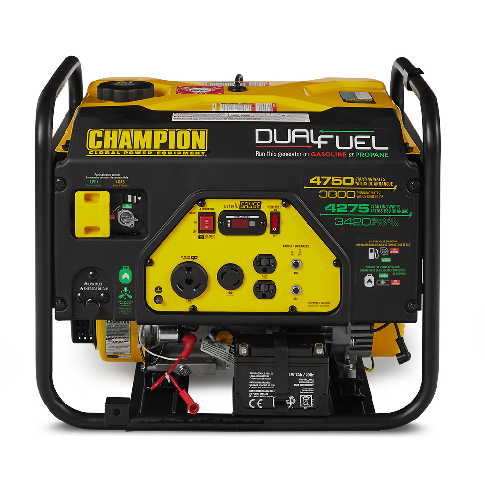 Champion CPE-GN-76533 3800 Watt Portable Electric Start ...